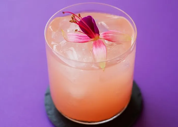 Color Style, Design & Gourmet Bardolino